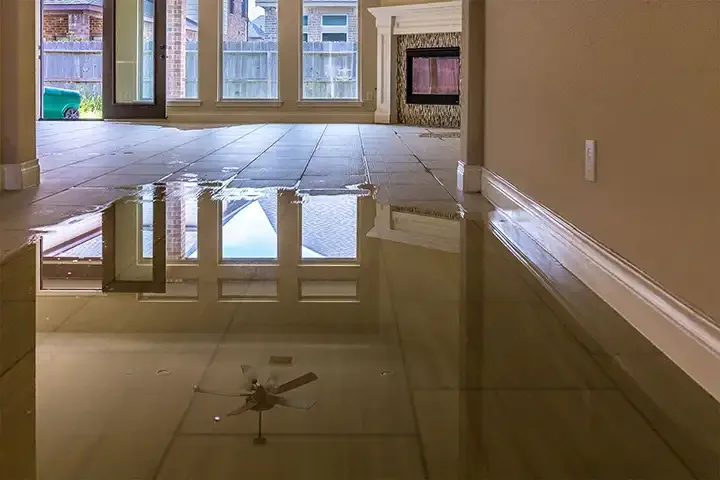 our services - water mitigation